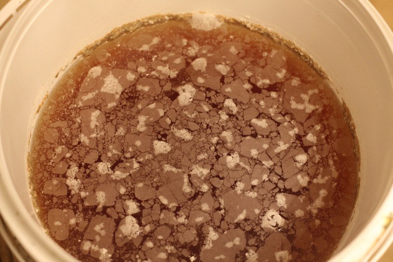 Infected beer Infected beer
