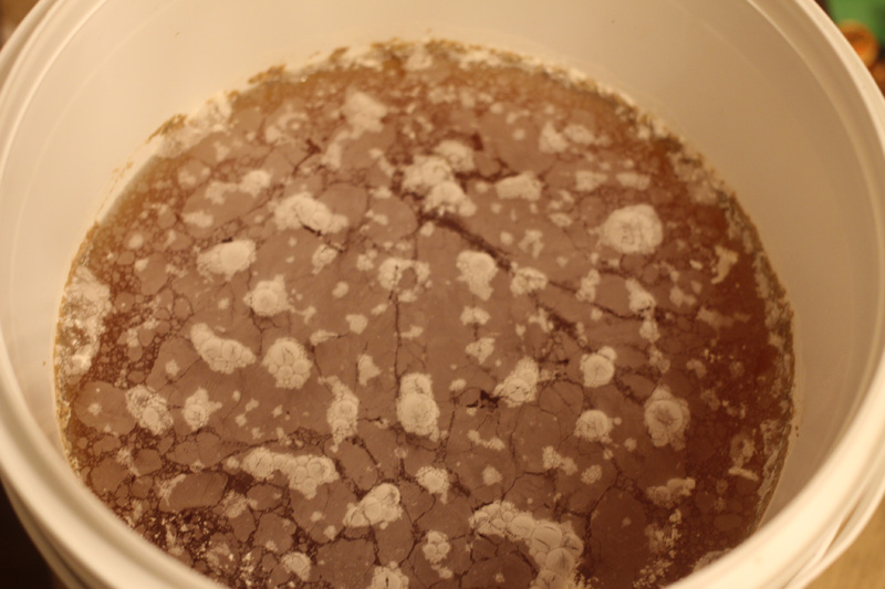 Also Infected beer Also Infected beer