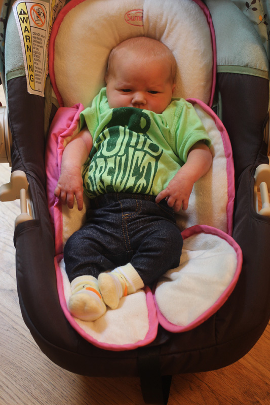 My littlest brewing nuddy My littlest brewing buddy