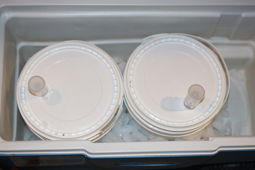 Buckets in my cooler Buckets in my cooler