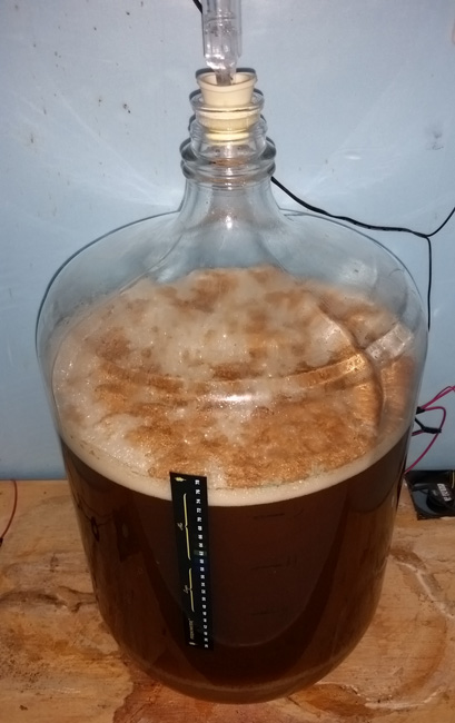 Fermenting beer Fermenting beer