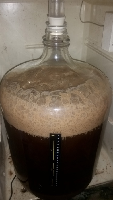 Irish red in carboy Irish red in carboy