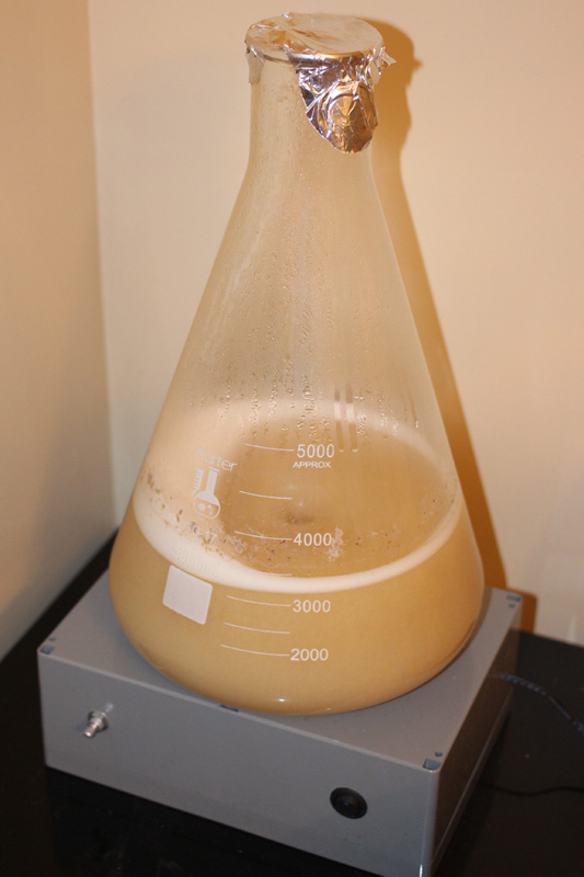 3 liter starter spinning along