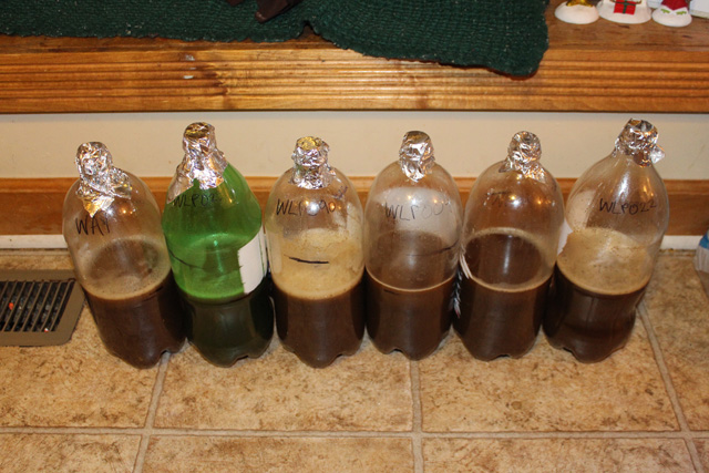 Experimental wort lineup Experiments wort lineup