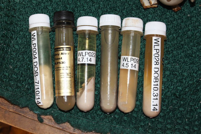 Experimental wort lineup Experiments wort lineup