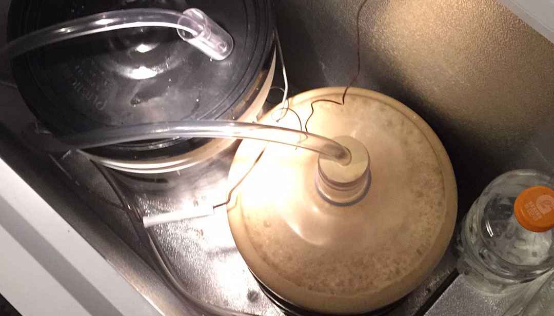 Happily fermenting beer Happily fermenting beer