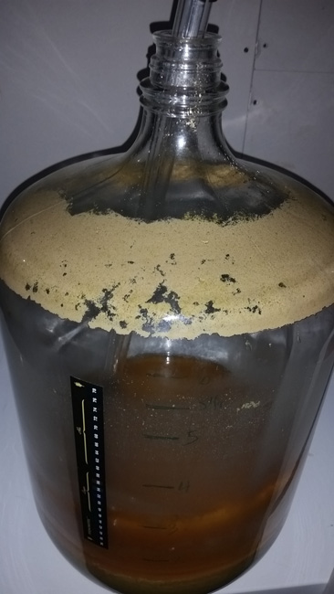 Dirty Carboy Dirty Carboy