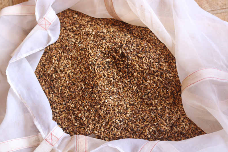 Grains in the bag