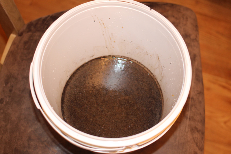 Cold steeped roasted barley Cold steeped roasted barley